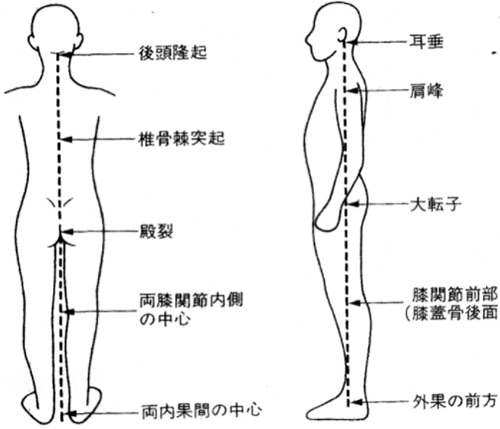 立っている時の理想な姿勢