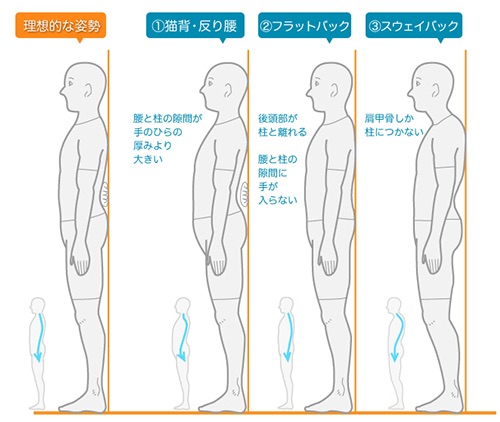 ご自身で姿勢を確認する方法