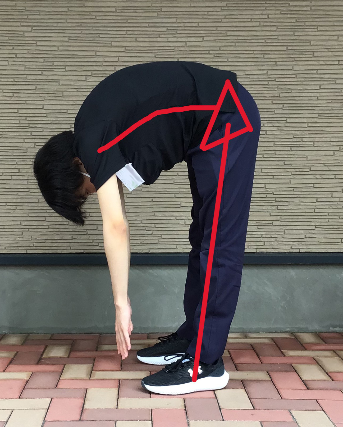 腰痛予防～腰椎骨盤リズム～