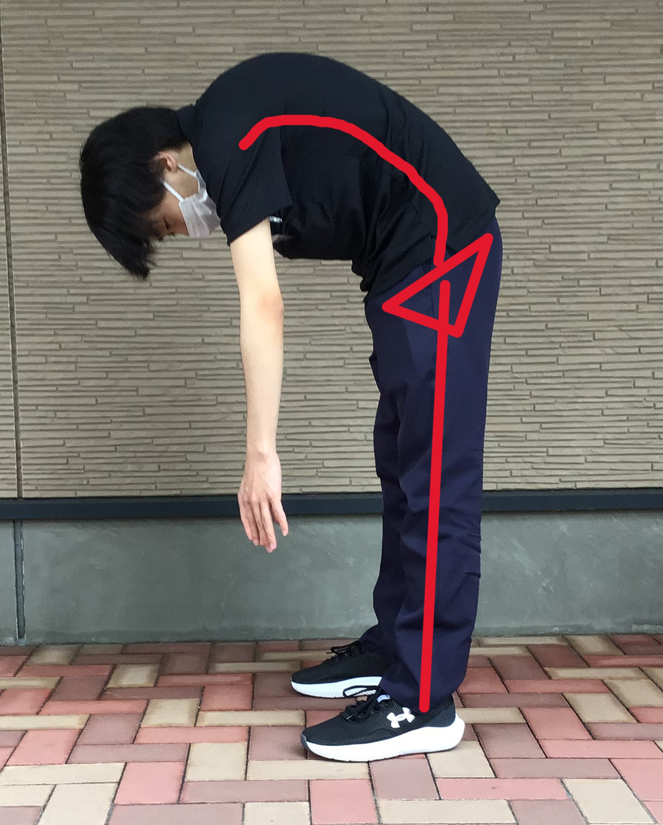 腰痛予防～腰椎骨盤リズム～