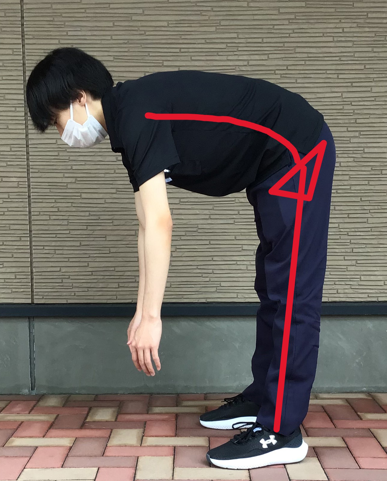 腰痛予防～腰椎骨盤リズム～